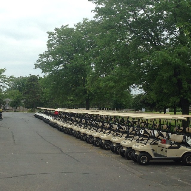 Row of golf carts